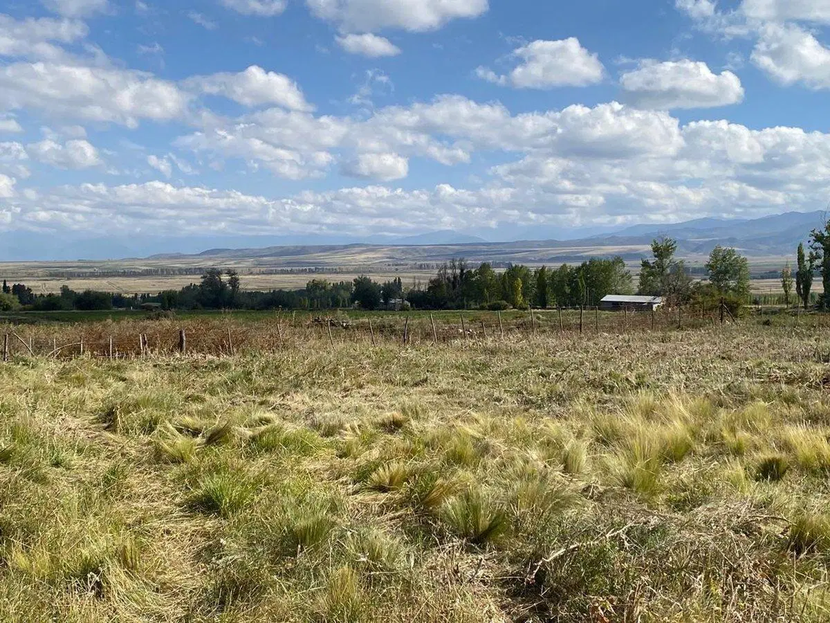 LOTE EN VENTA LA CARRERA TUPUNGATO VALLE DE UCO 5