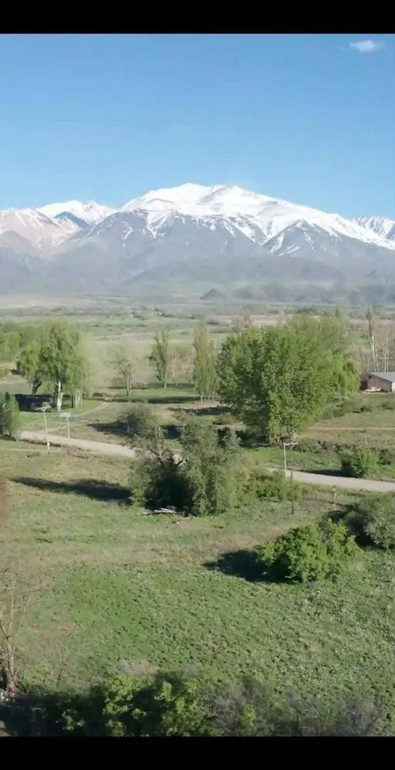 LOTE EN VENTA LA CARRERA TUPUNGATO VALLE DE UCO 3