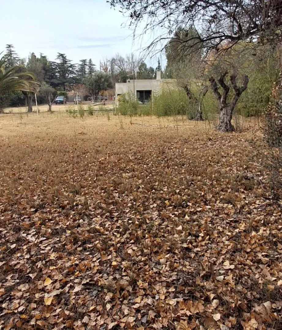 Venta Lote Chacras callejón privado Mendoza 5