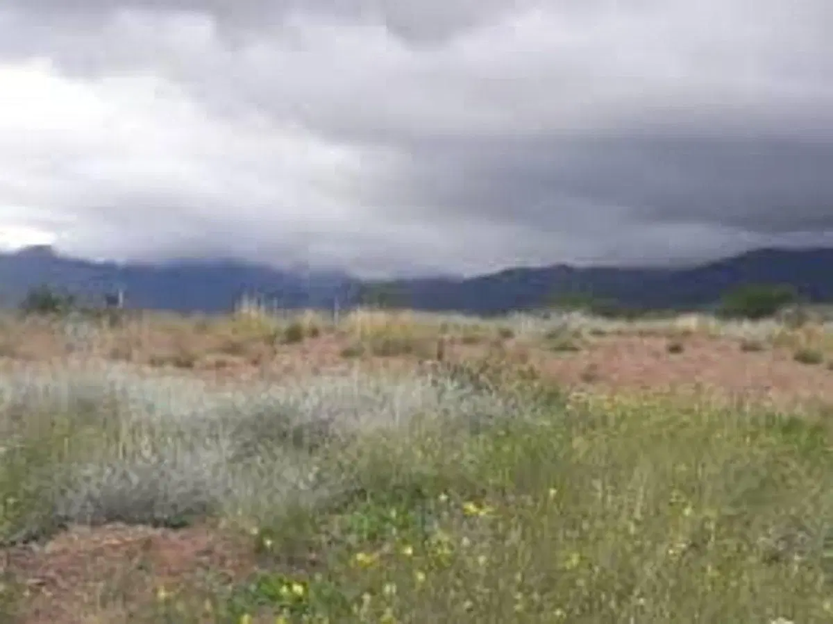 Venta Lote Eco Country Altos de la Crucesita 5