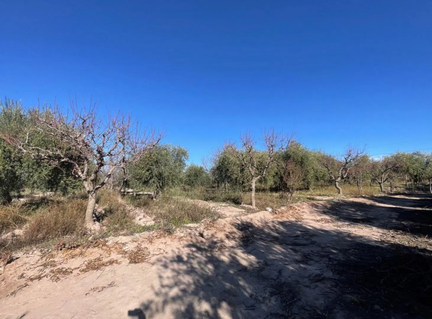 VENTA TERRENO MAIPÚ MENDOZA 3