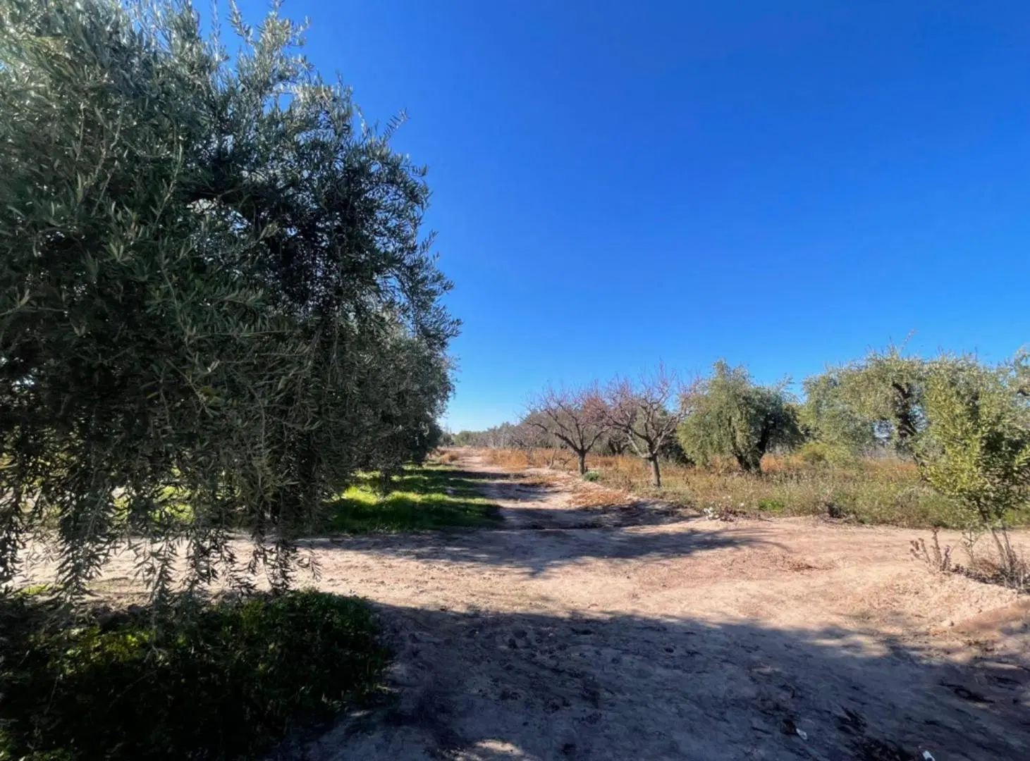 VENTA TERRENO MAIPÚ MENDOZA 2