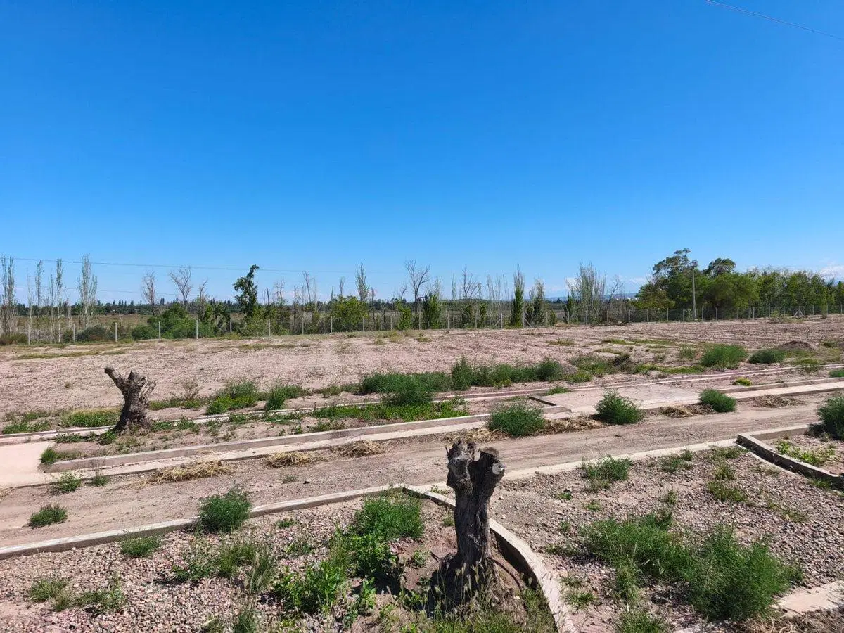 VENTA LOTE 800 M2 B PRIVADO VISTALBA 8