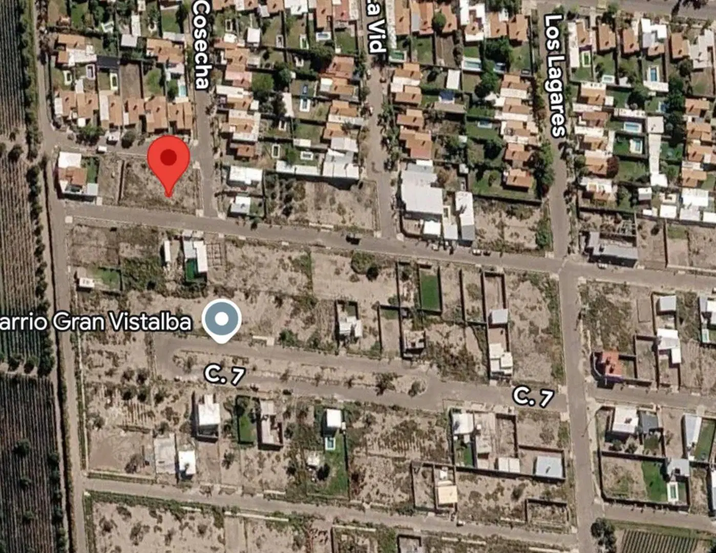 Venta Lote 1000m2 Vistalba Lujan de Cuyo 3