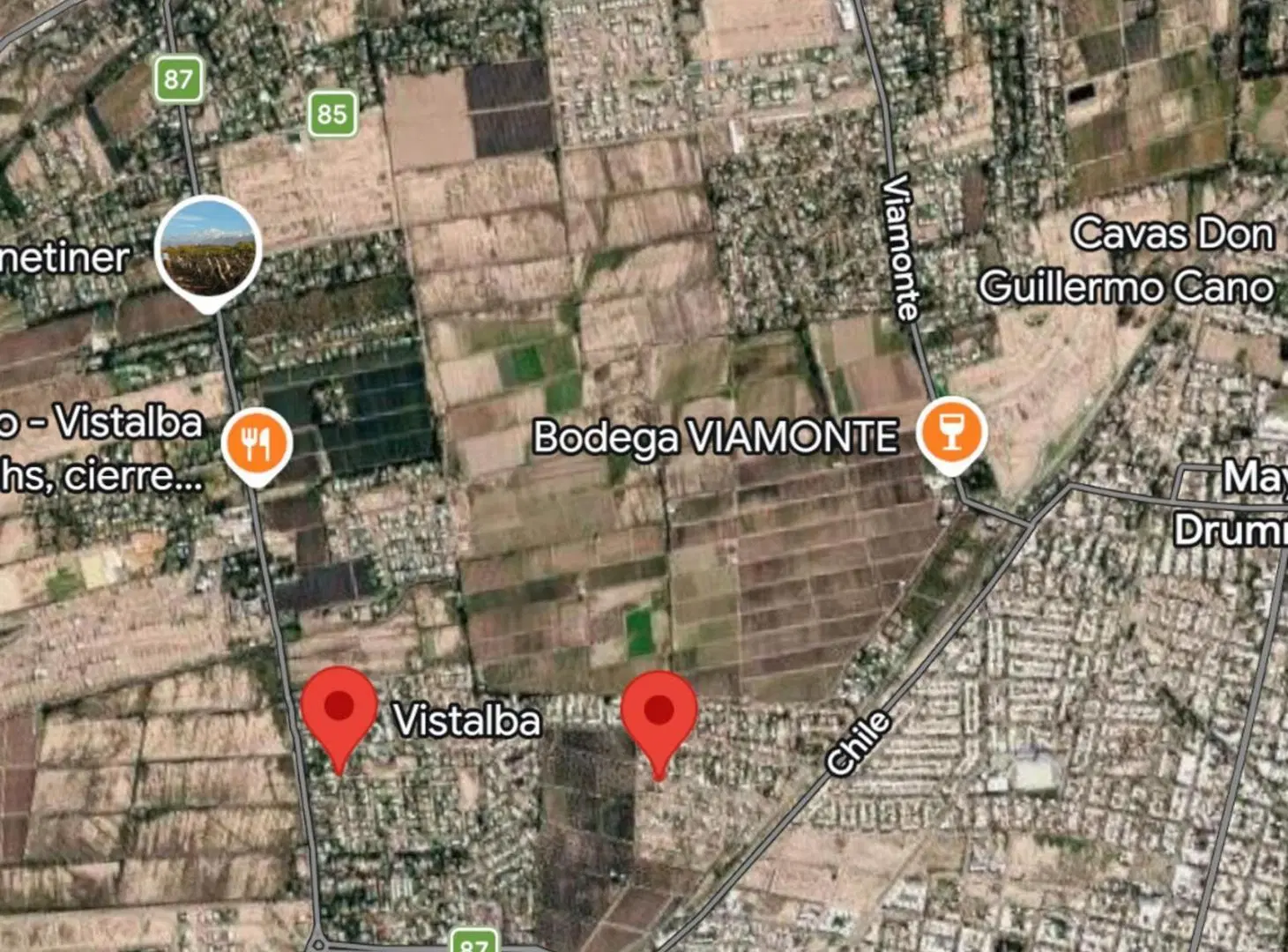Venta Lote 1000m2 Vistalba Lujan de Cuyo 2