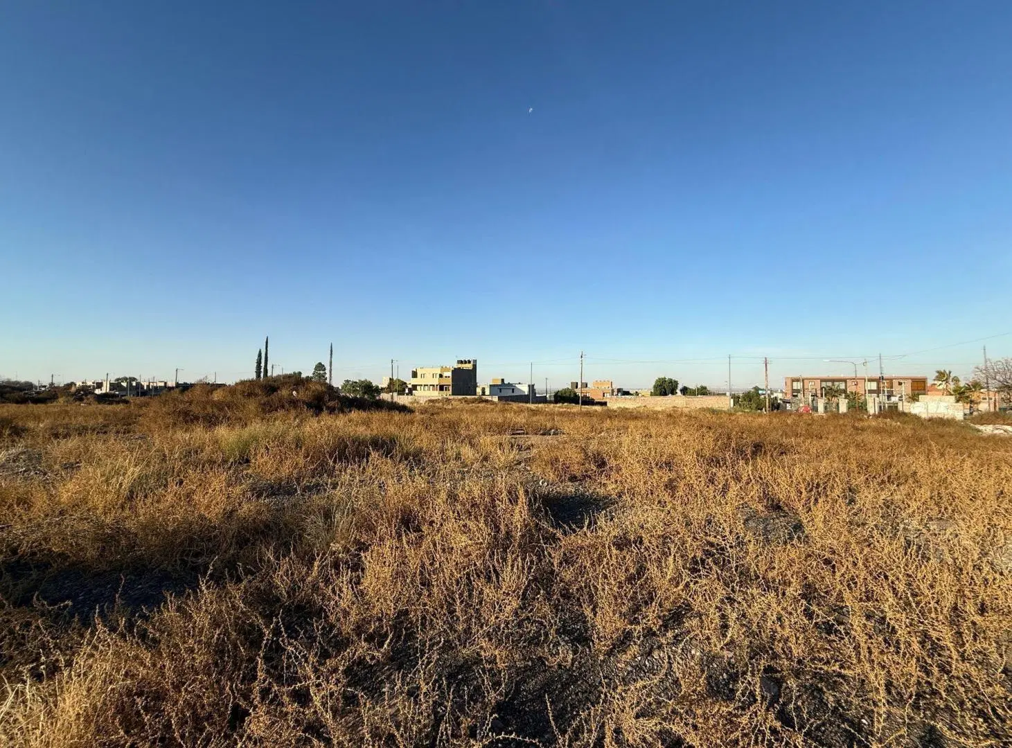VENTA TERRENO CIUDAD DE MENDOZA IDEAL DESARROLLO 2
