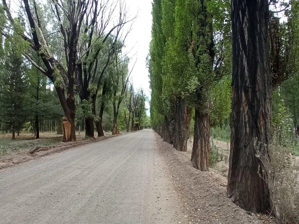 Venta Lote Comercial y Residencial Uspallata Mza 2
