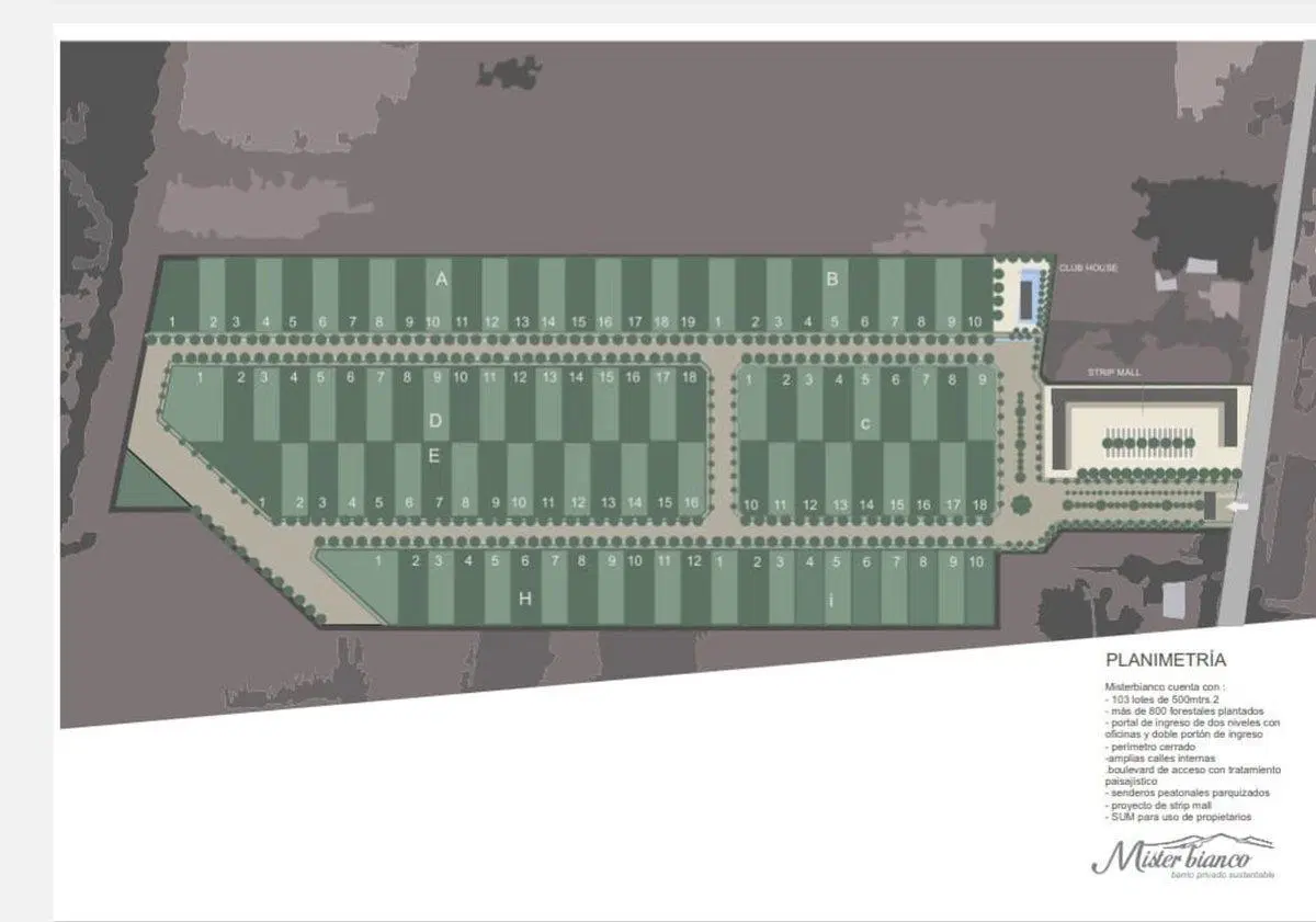 Plano 1