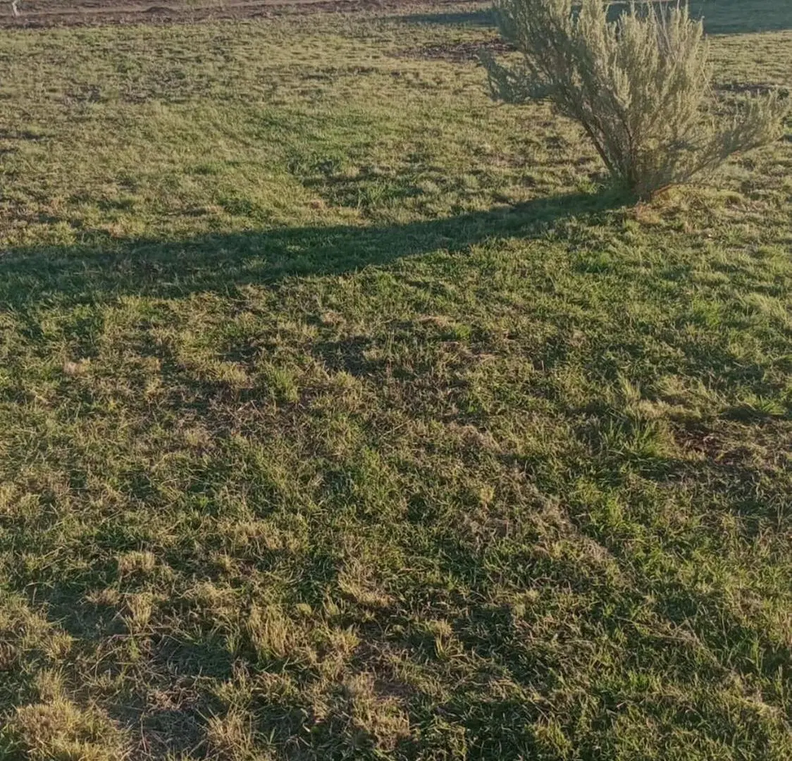 Venta lote B° terruños del Valle San Rafael 2