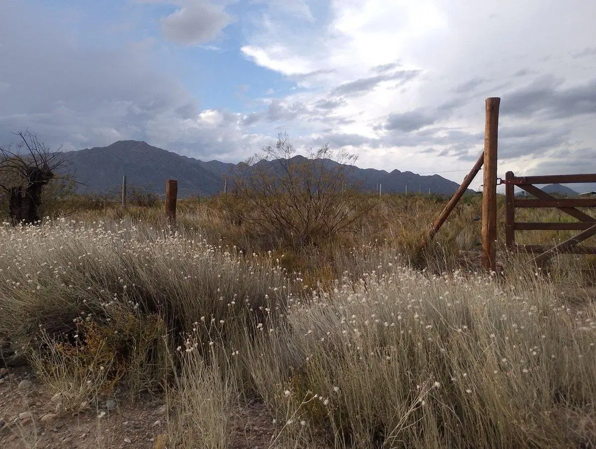 LOTE B° ALTOS DE LA CRUCESITA 4
