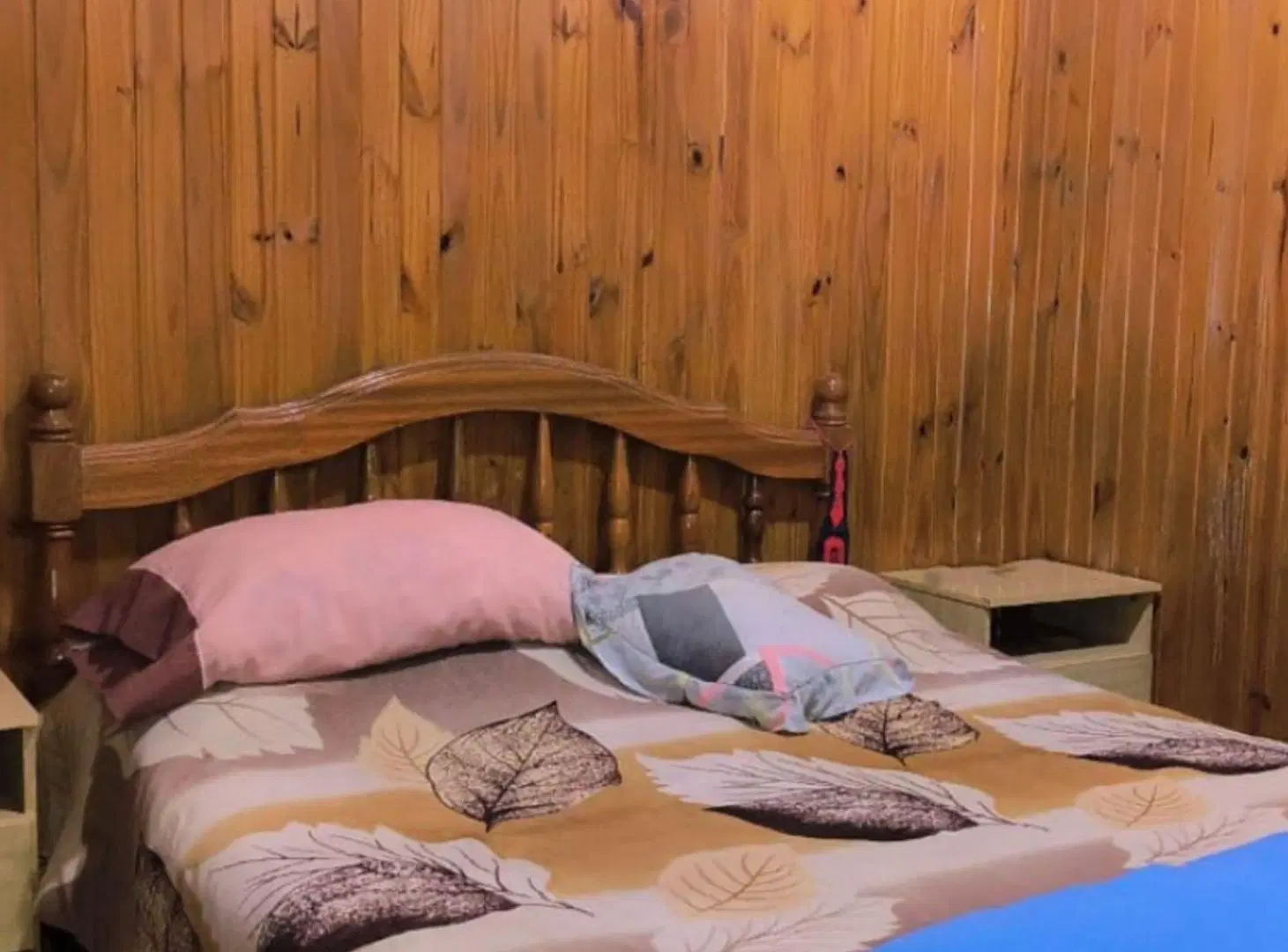 Casa en Venta con 2 dormitorios ciudad Tunuyan 3