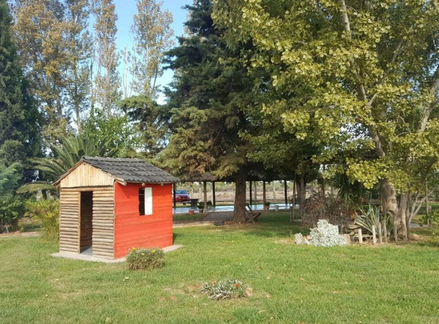 QUINTA 1 HECT CASA CON OLIVOS, BELTRÁN, MAIPÚ. 3