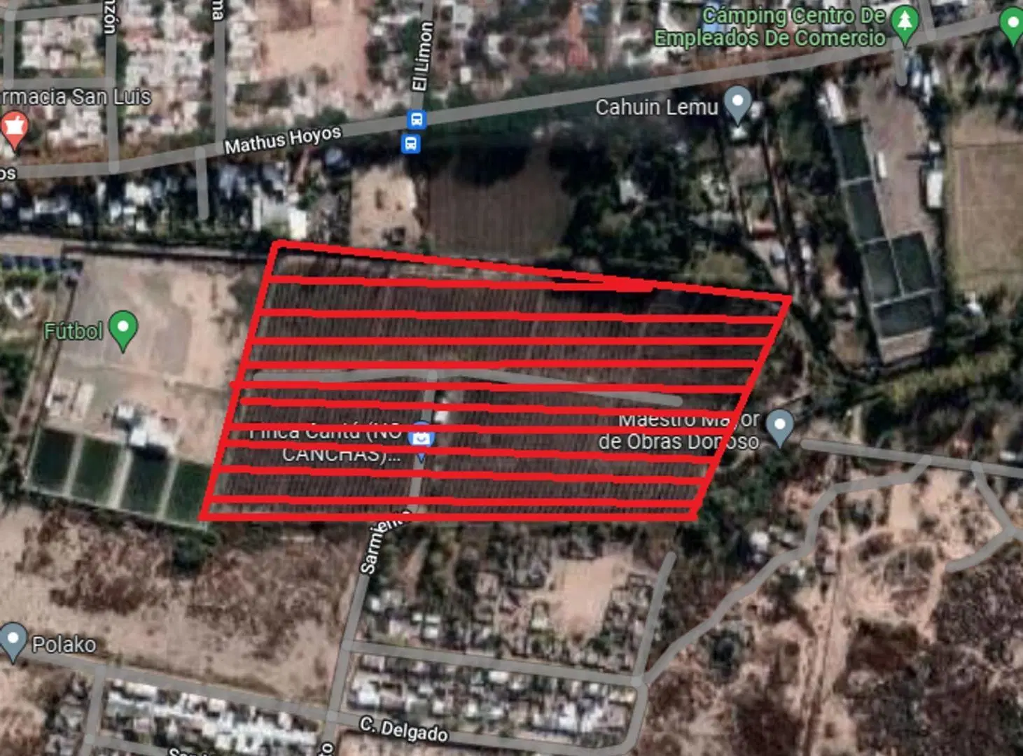 GRAN TERRENO-BERMEJO-GUAYMALLEN-MENDOZA 1