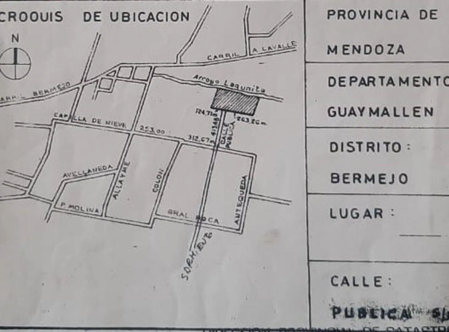 GRAN TERRENO-BERMEJO-GUAYMALLEN-MENDOZA 2