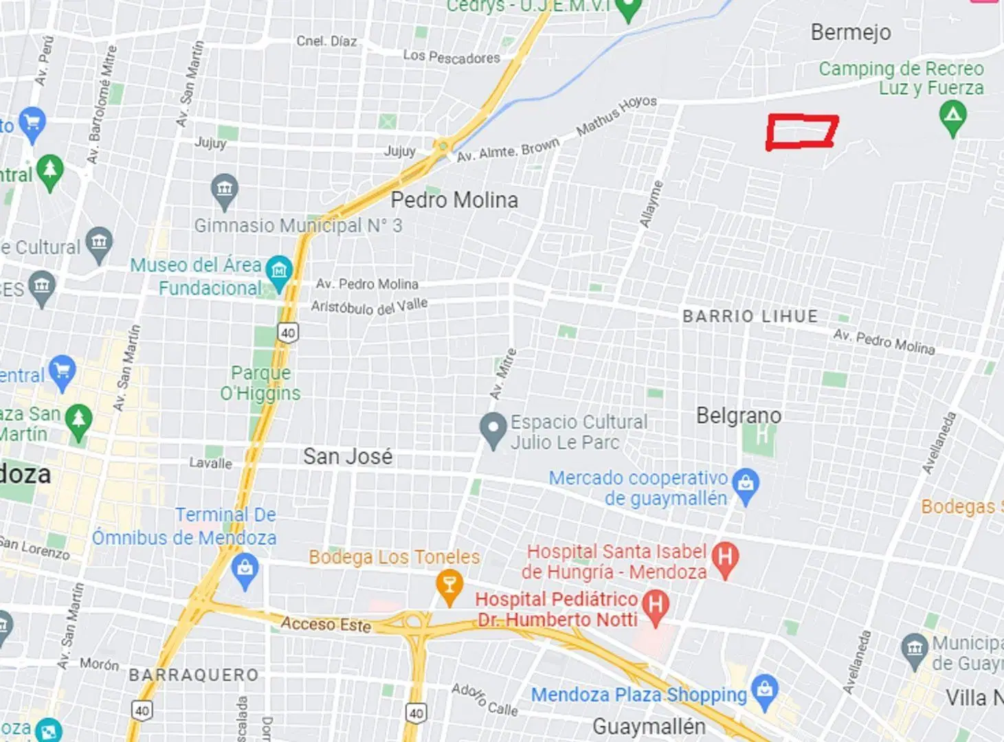 GRAN TERRENO-BERMEJO-GUAYMALLEN-MENDOZA 3