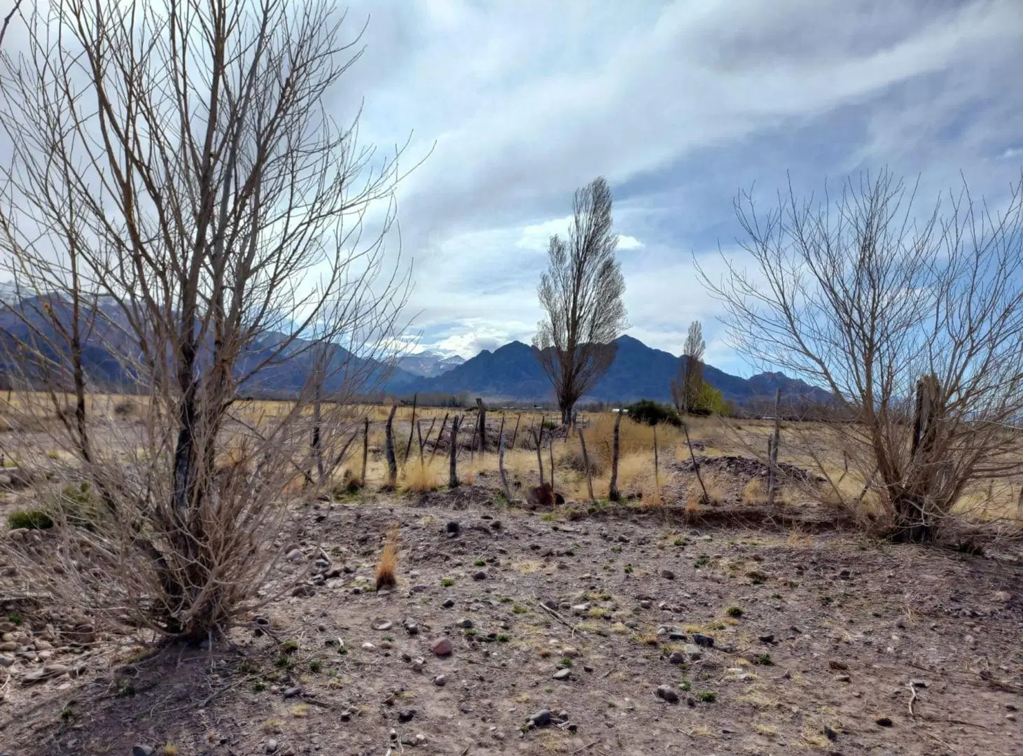 VENTA CAMPO CON CASA SAN ALBERTO USPALLATA 5