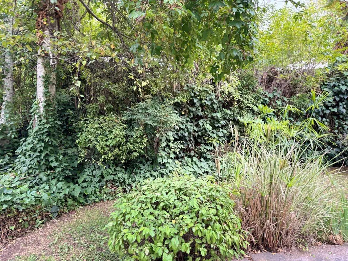 Venta lote Chacras de Coria 3