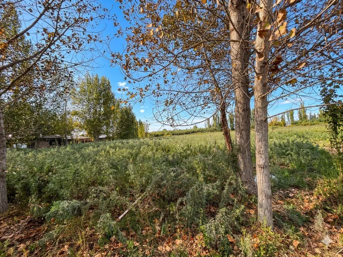 VENTA DE TERRENO EN CORRALITOS 2