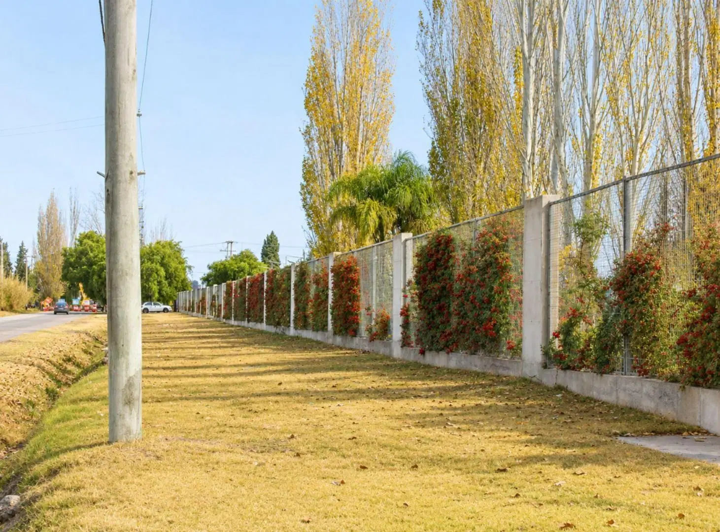 Venta de Lote en Barrio Privado Álamos – Maipú 5