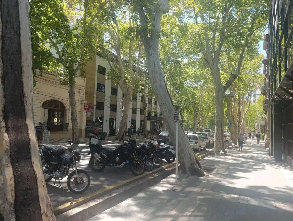 Venta Cochera en  centro de Mendoza 3