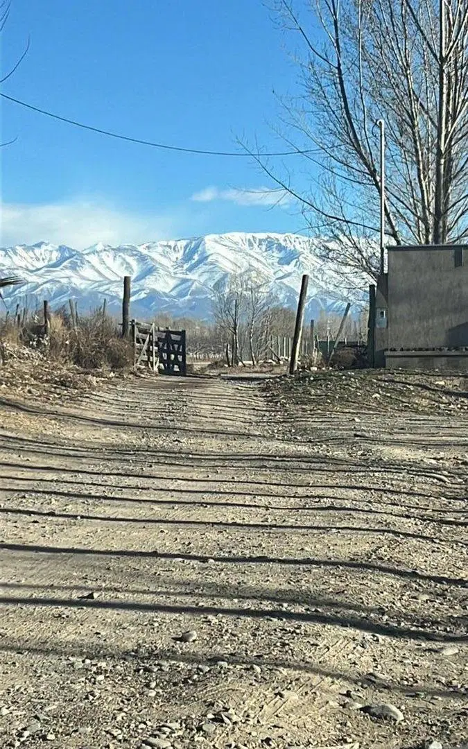 Finca de Nogales a la venta en Tupungato, Mendoza 5