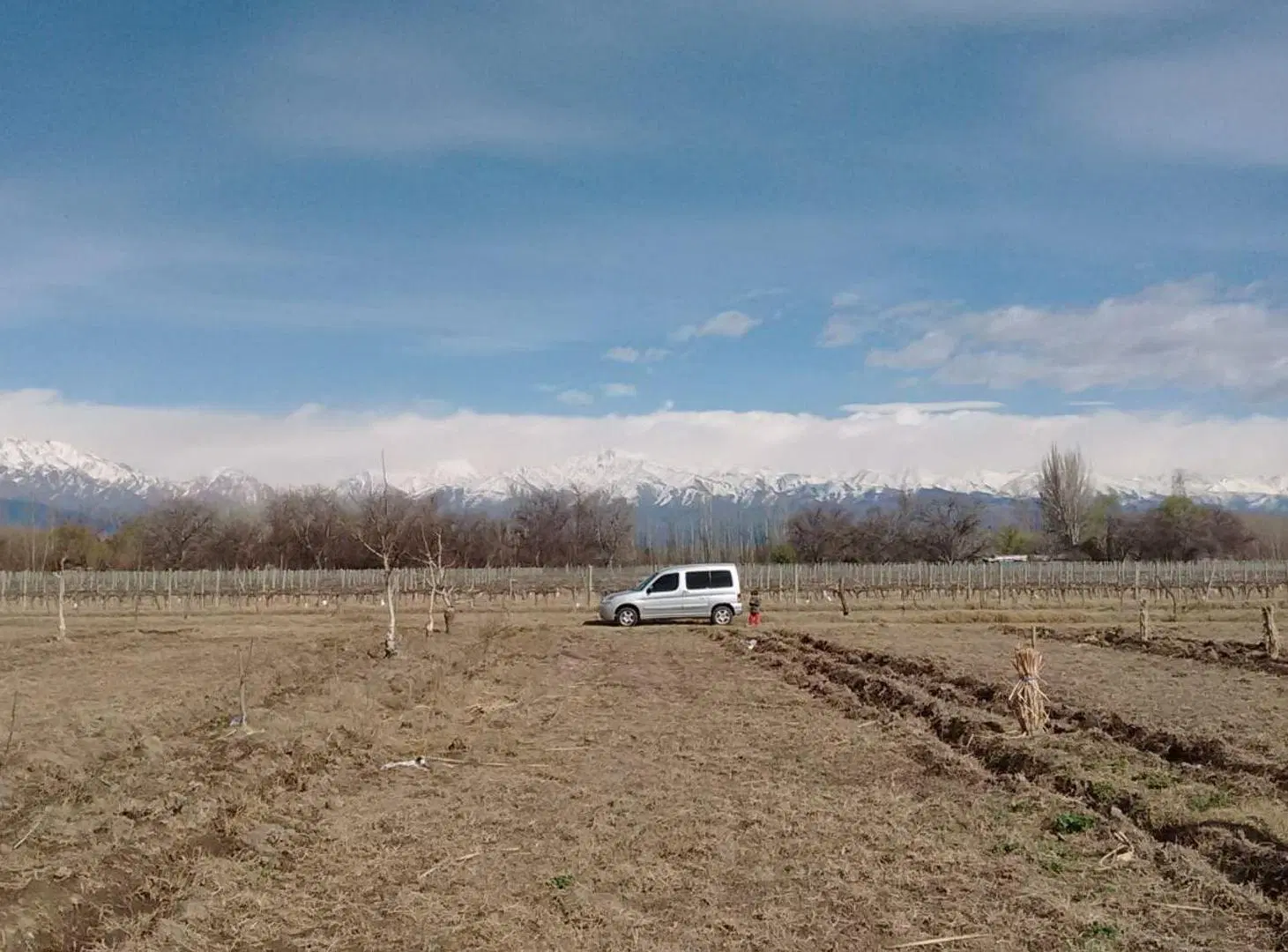 VENTA DE FINCA PRODUCTIVA EN COLONIA LAS ROSAS 4HA 2