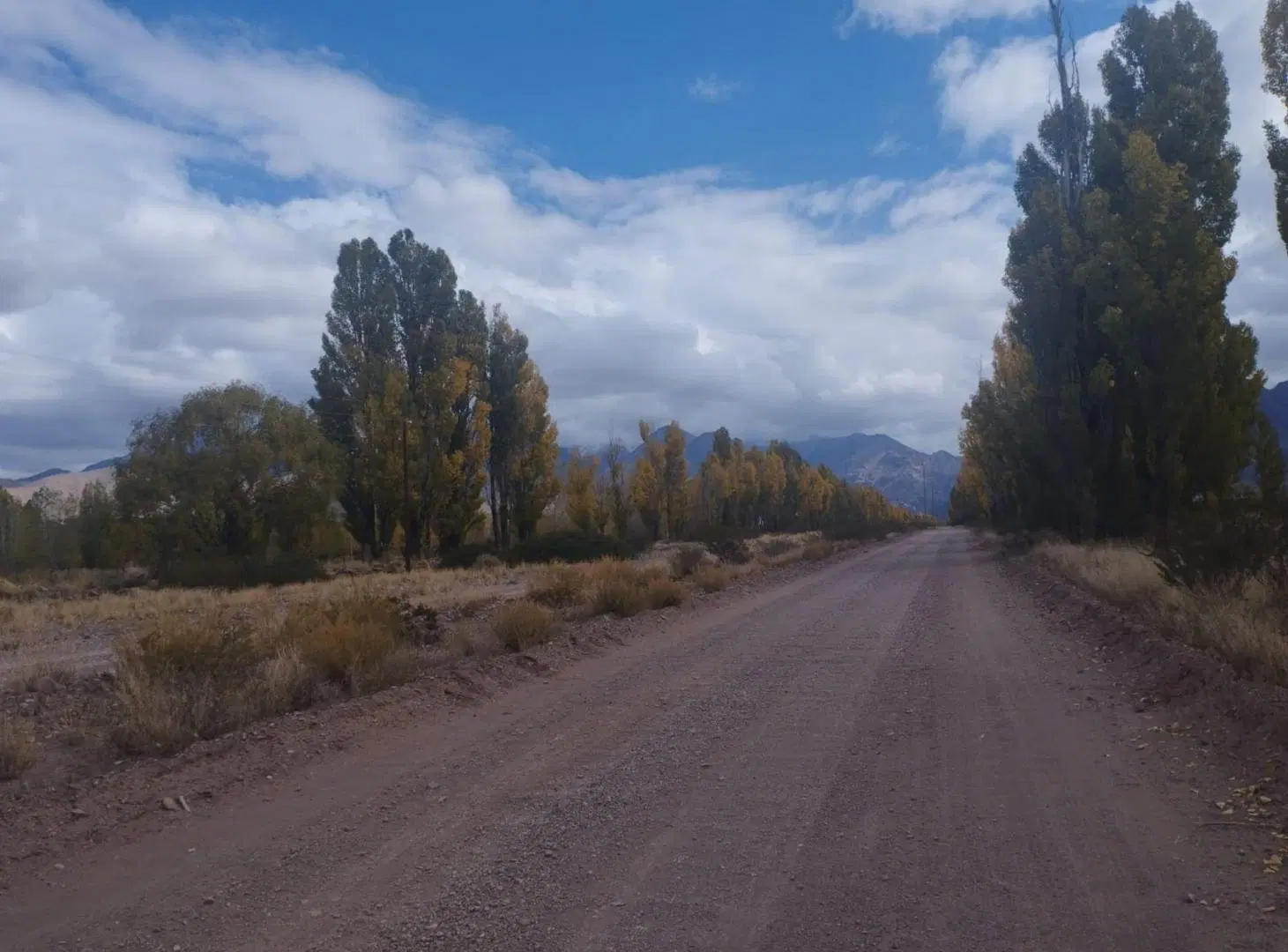 Venta 14 hectáreas en San Alberto, Uspallata, Mza 5