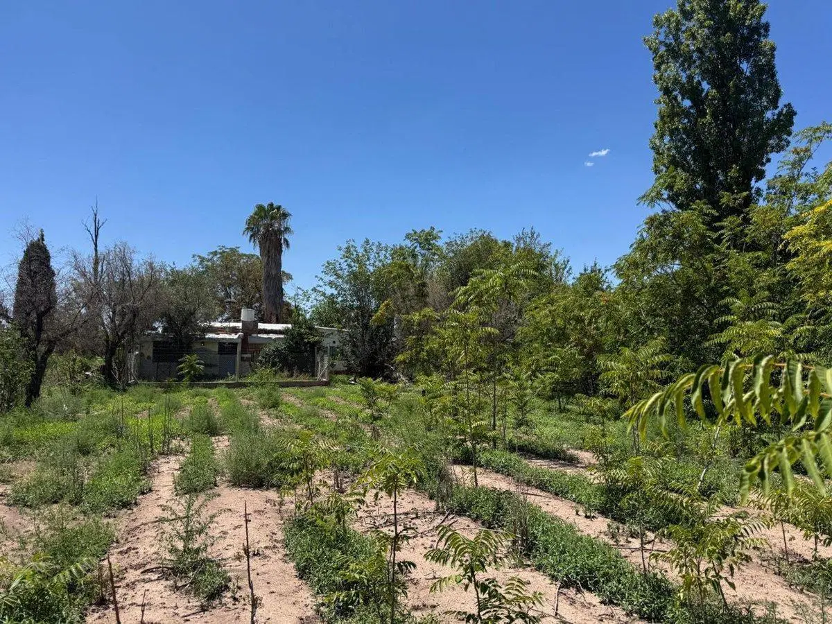 Venta Terreno ideal desarrollo J. Roca Buena Nueva 2