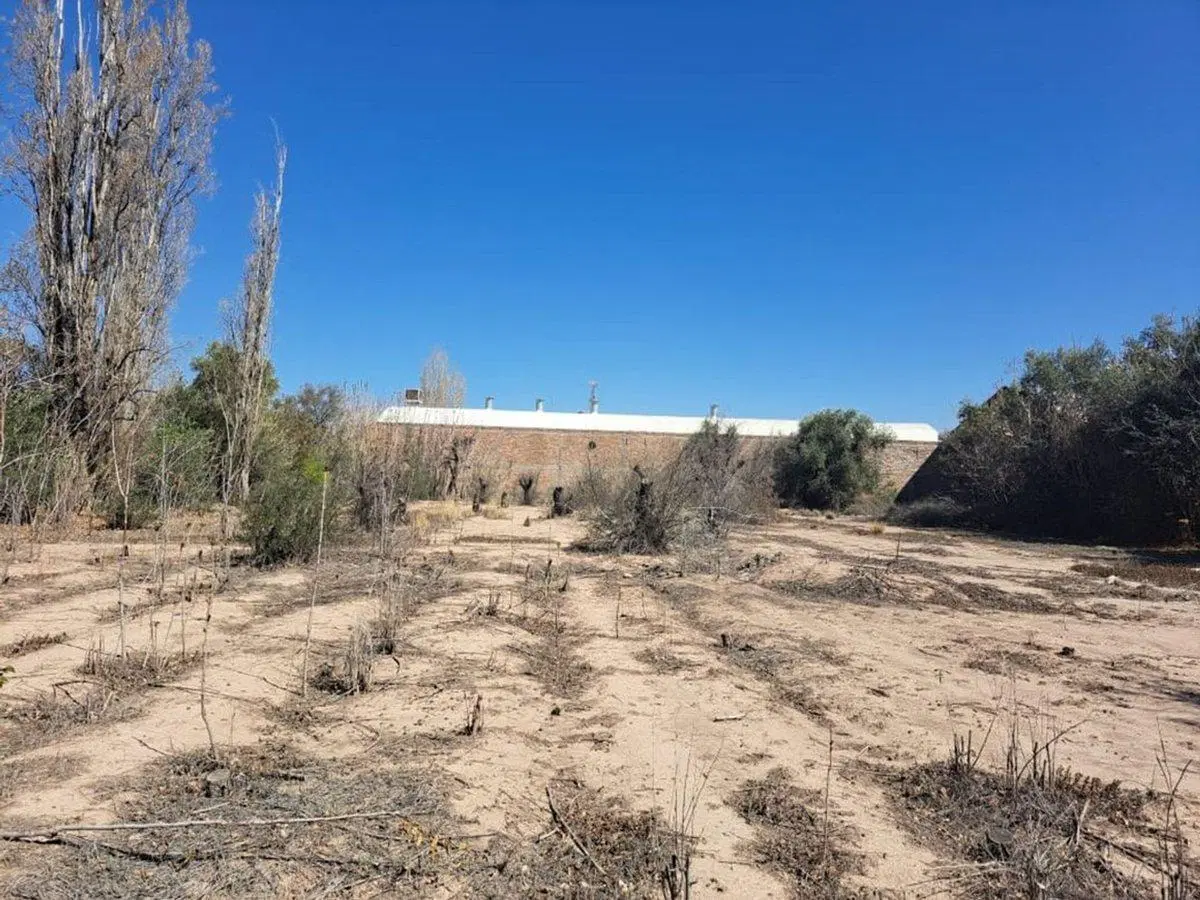 Venta Terreno ideal desarrollo J. Roca Buena Nueva 8