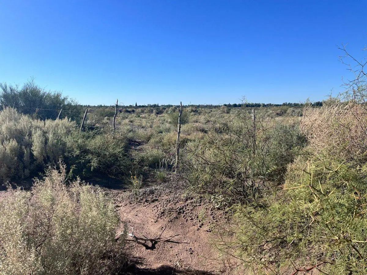 Campo en venta sobre Ruta Nacional 7 2