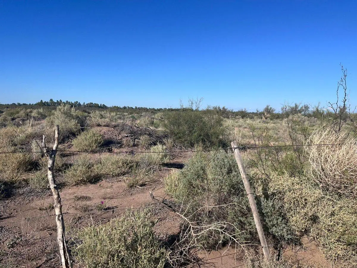 Campo en venta sobre Ruta Nacional 7 4