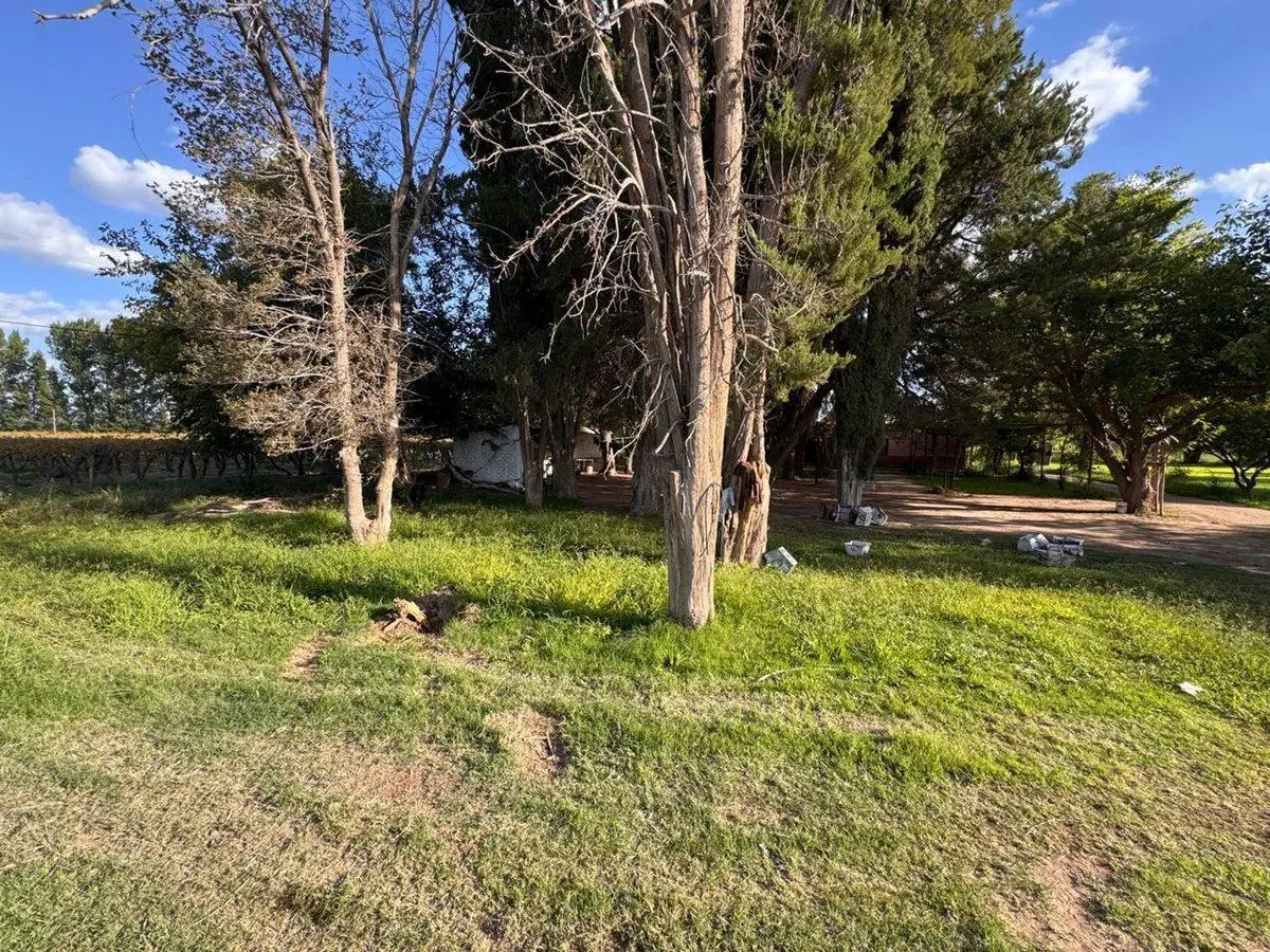 FINCA PRODUCTIVA 50ha VENTA EL CENTRAL SAN MARTIN 8