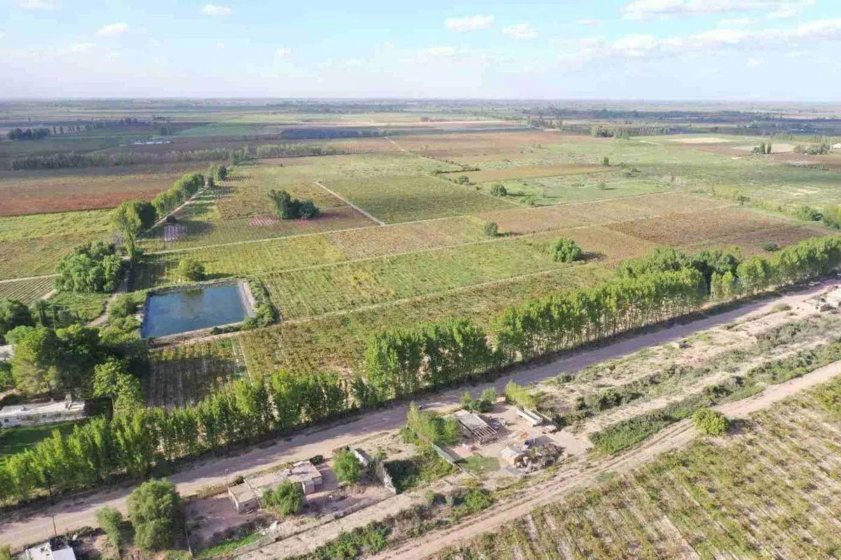 FINCA PRODUCTIVA 50ha VENTA EL CENTRAL SAN MARTIN 3