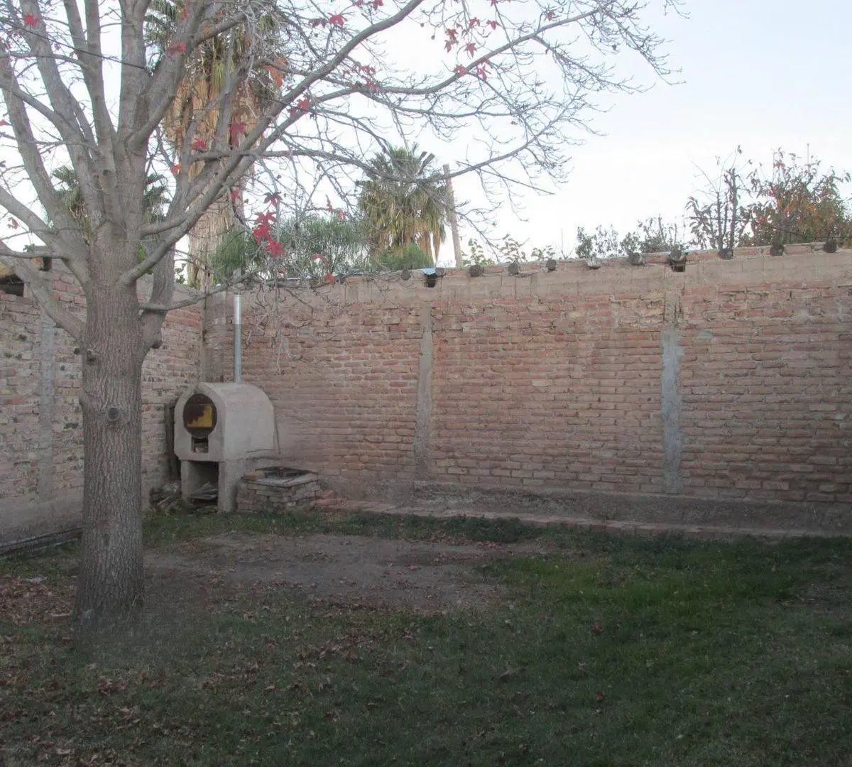 Venta Casa 3 dormitorios La Consulta Valle de Uco 8