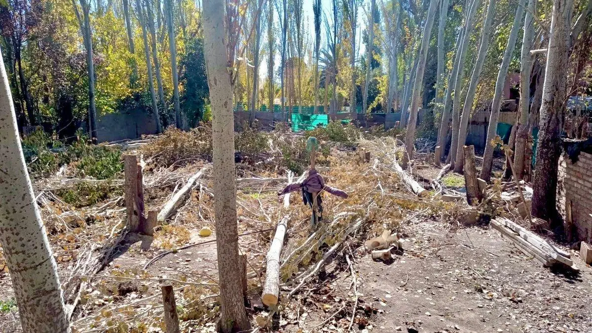 Lote de Categoría Chacras de Coria 8