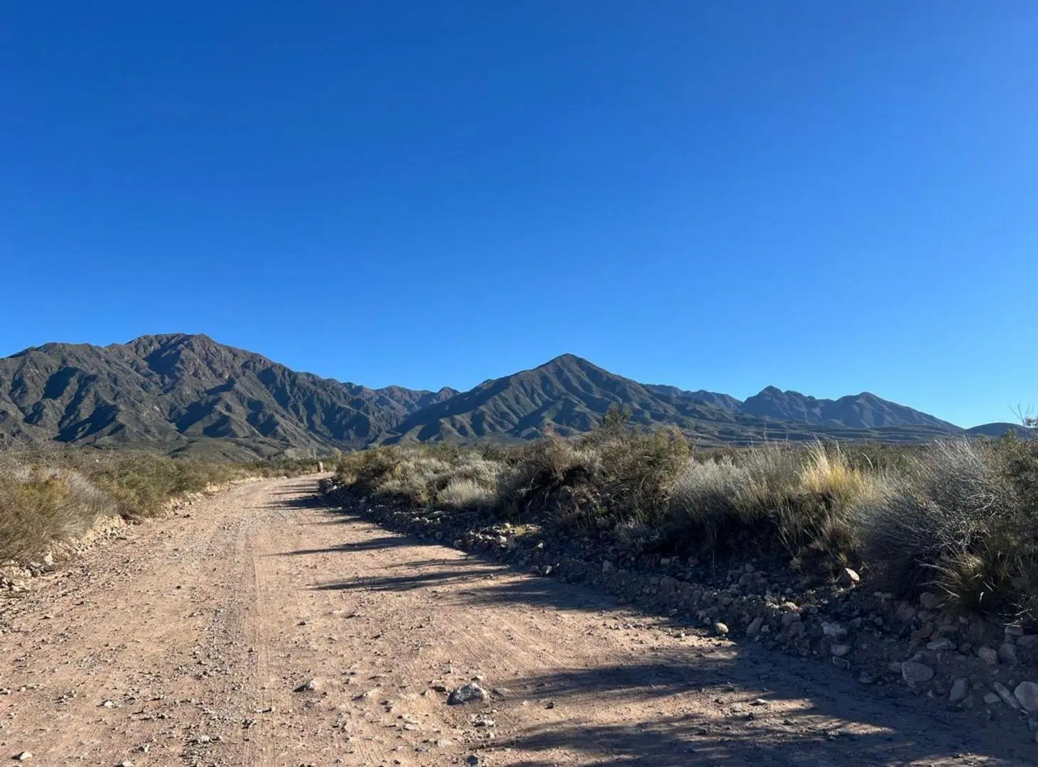 VENTA LOTE LA CRUCESITA BLANCO ENCALADA MENDOZA 3