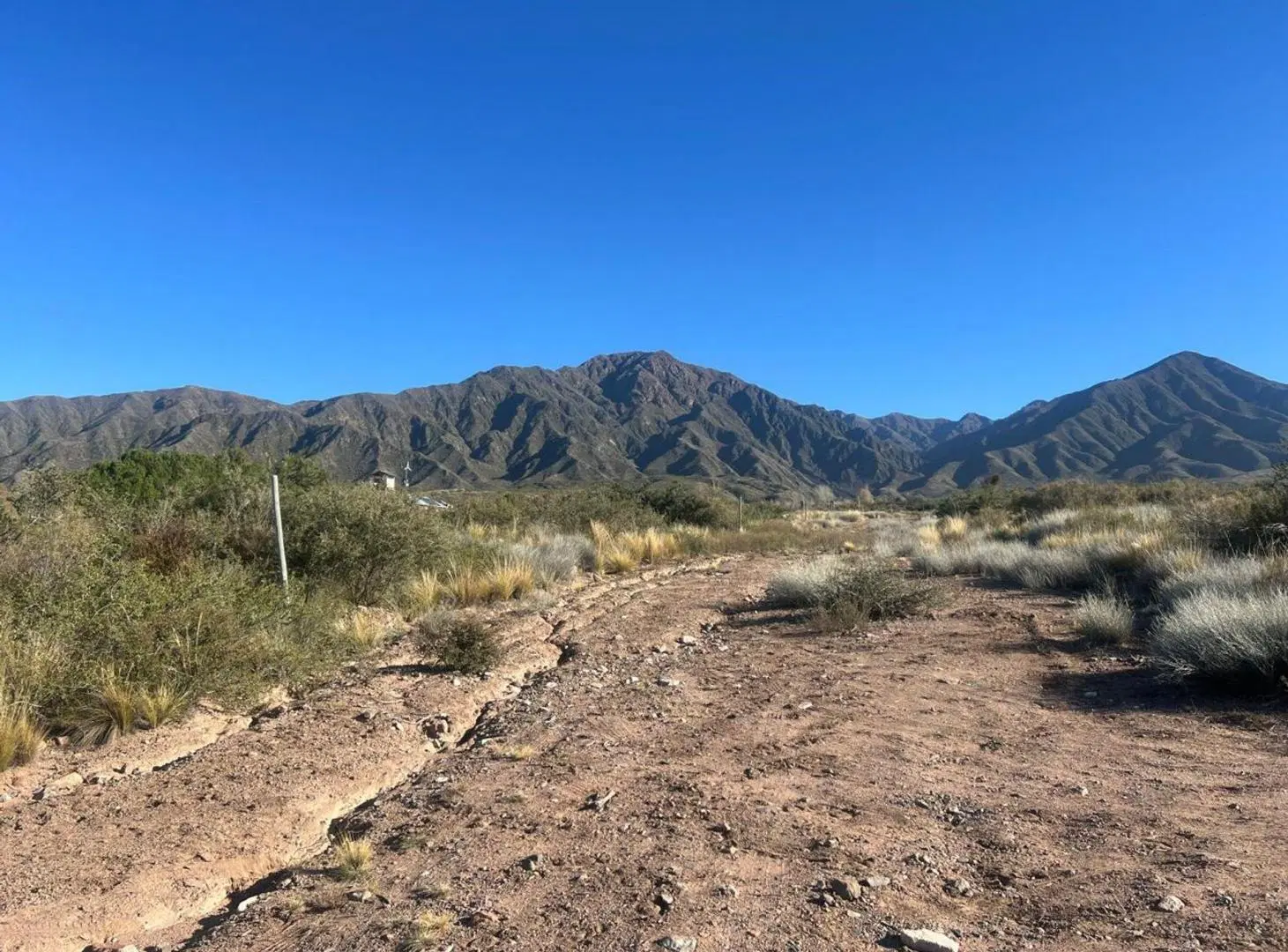 VENTA LOTES LA CRUCESITA BLANCO ENCALADA MENDOZA 5
