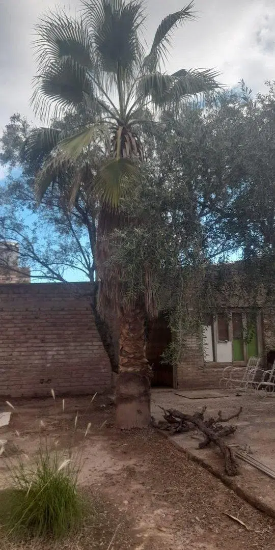 Venta lote residencial en General Gutiérrez, Maipu 5