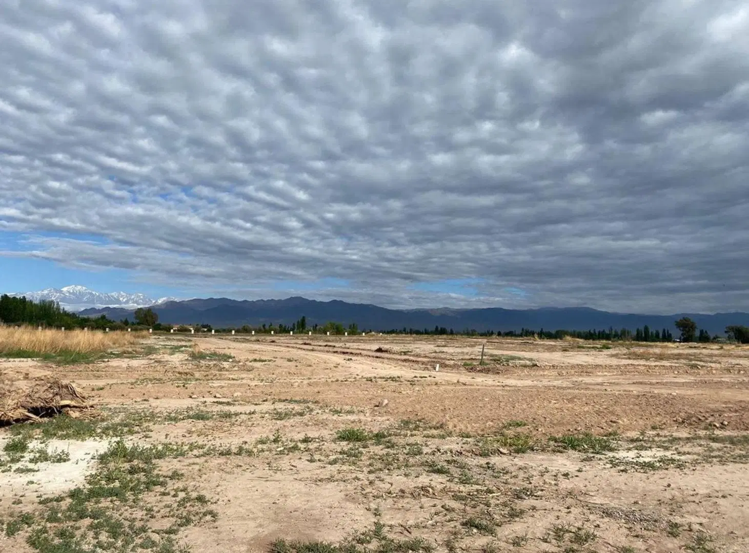 LOTE EN VENTA PROYECTO VIEYTES LUJÁN DE CUYO 2