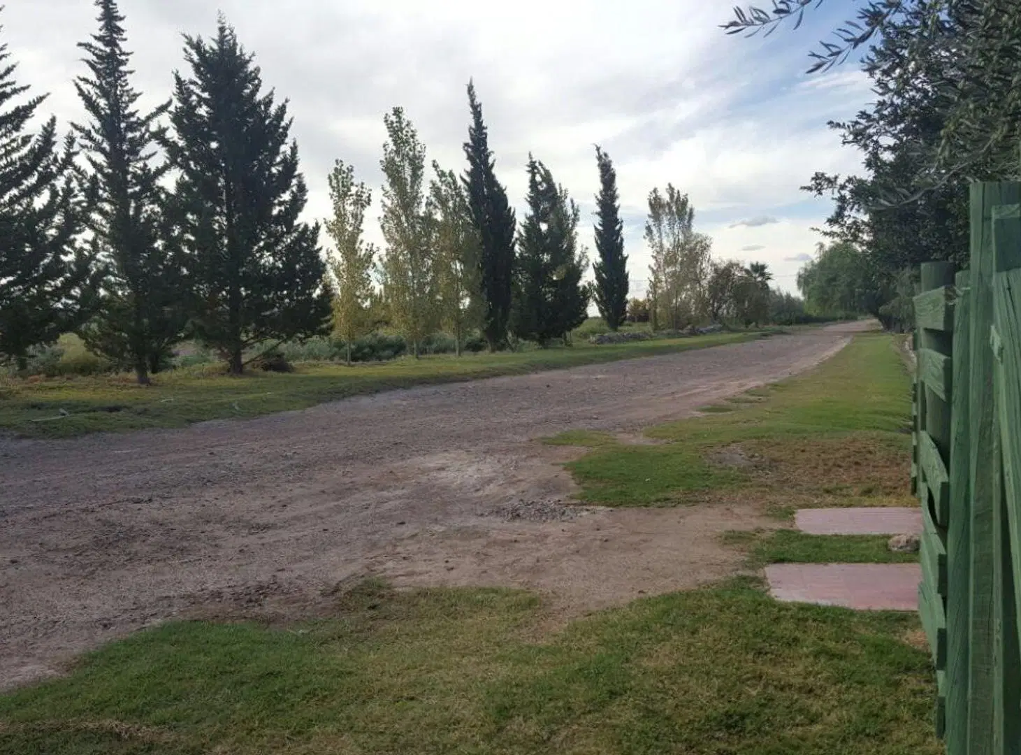 QUINTA 1 HECT CASA CON OLIVOS, BELTRÁN, MAIPÚ. 4