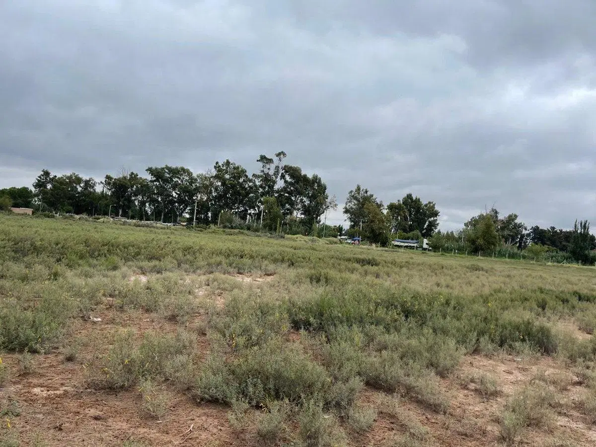 LOTE EN VENTA COLONIA SEGOVIA APTO LOTEO 4