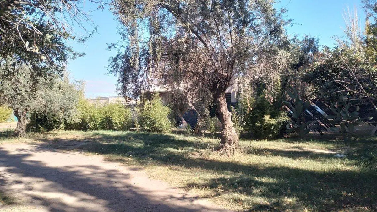 LOTE EN VENTA 257 MS2 EN BERMEJO GUAYMALLEN MZA 5