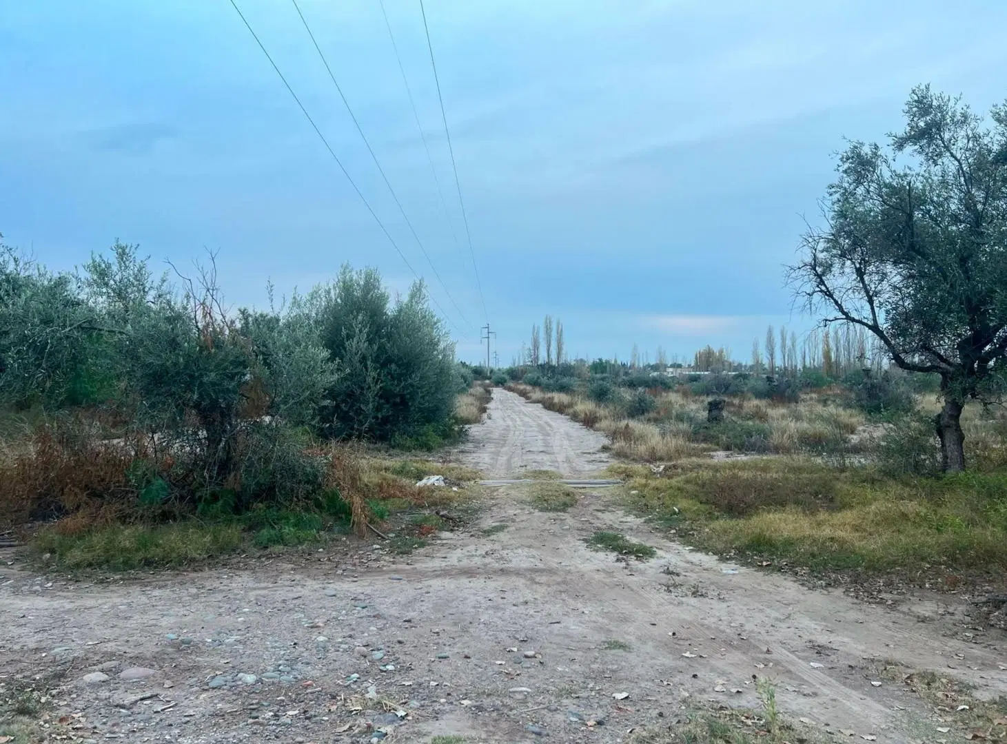 VENTA LOTE 1000 MTS RUSSELL - MAIPU 4