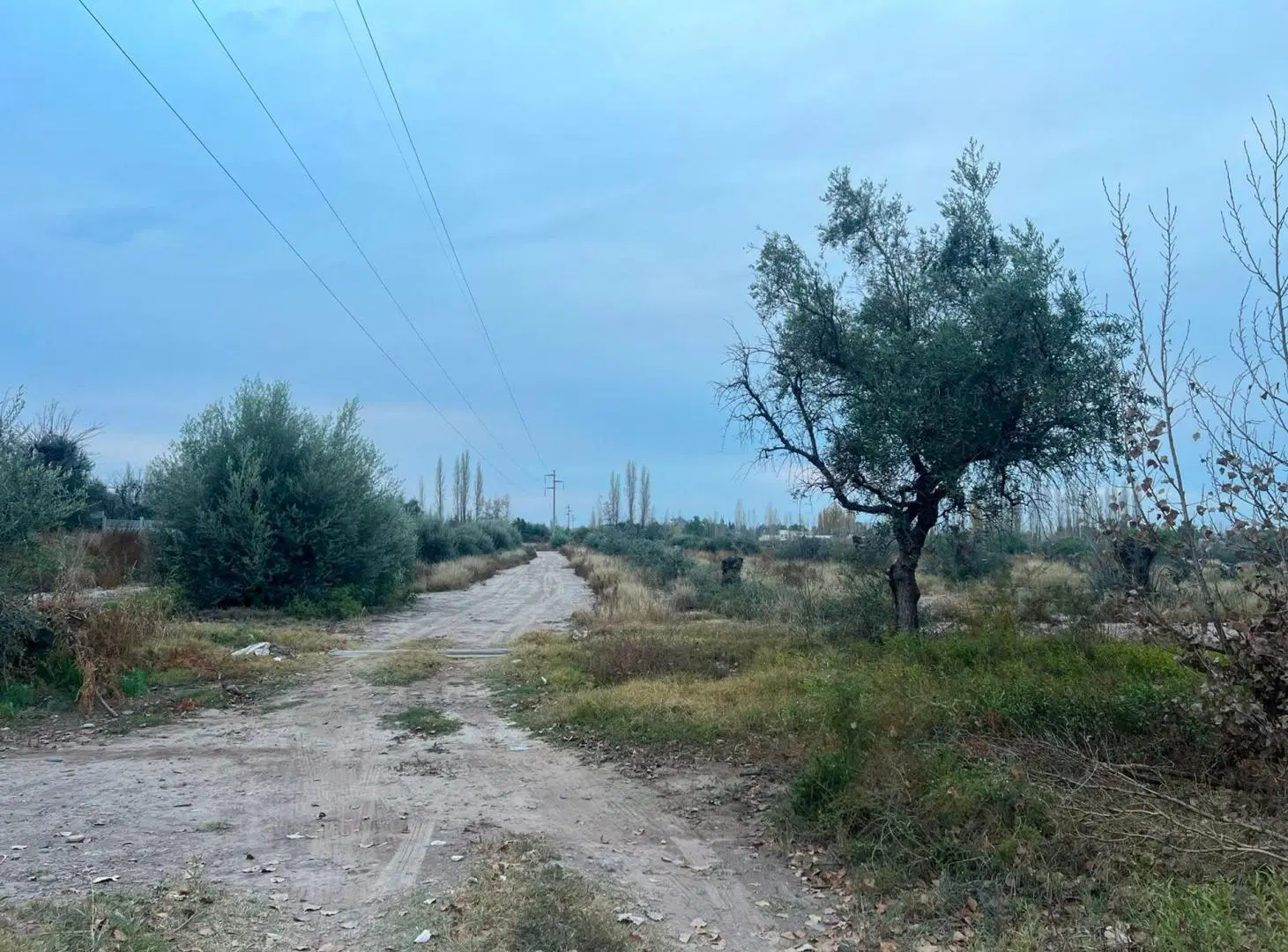 VENTA LOTE 1000 MTS RUSSELL - MAIPU 3