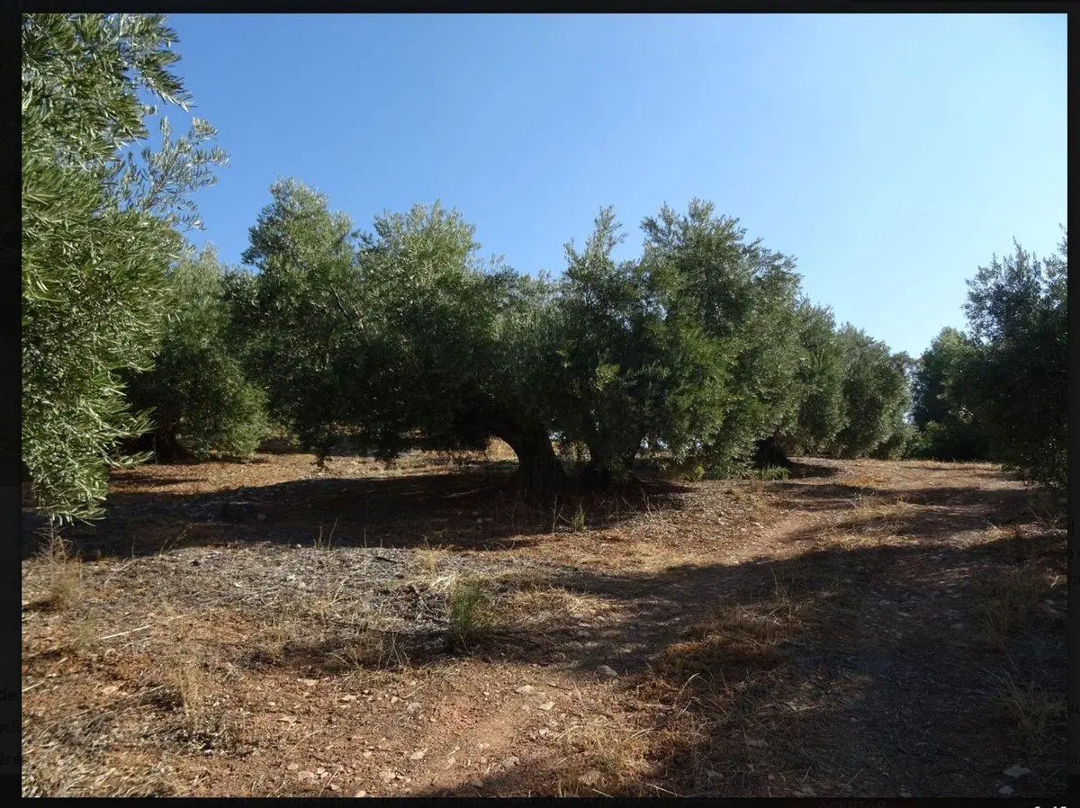 venta finca en  produccion en maipu para barrios 4