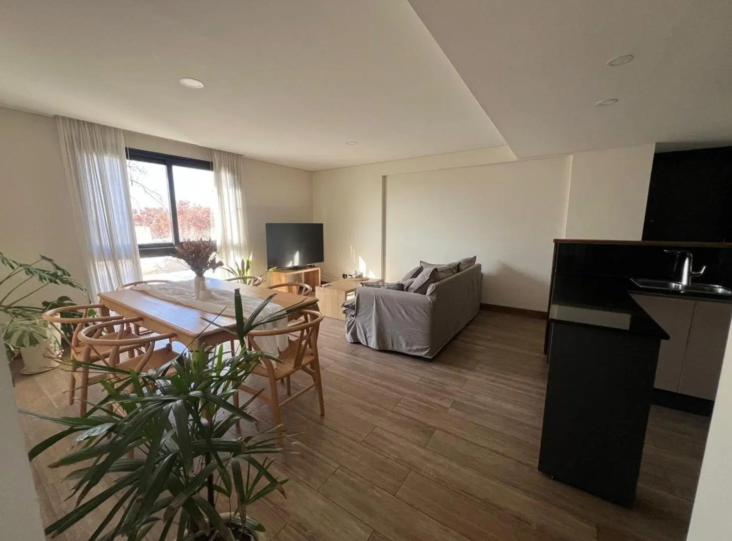 DEPARTAMENTO EN VENTA QUINTA SECCION 3