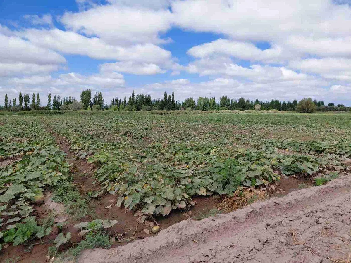 Venta Finca 45 Has con Pozo - La Pega, Lavalle Mza 4