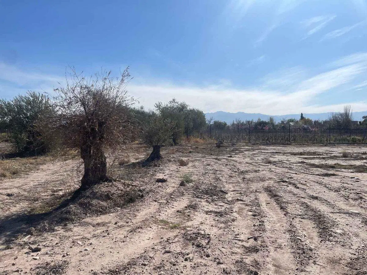 VENTA LOTE BARRIO CERRADO LUJAN DE CUYO MENDOZA 8