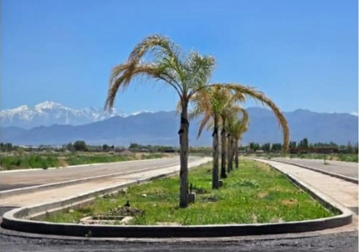 Venta Lote Barrio Privado Las Palmas Maipú Mendoza 8