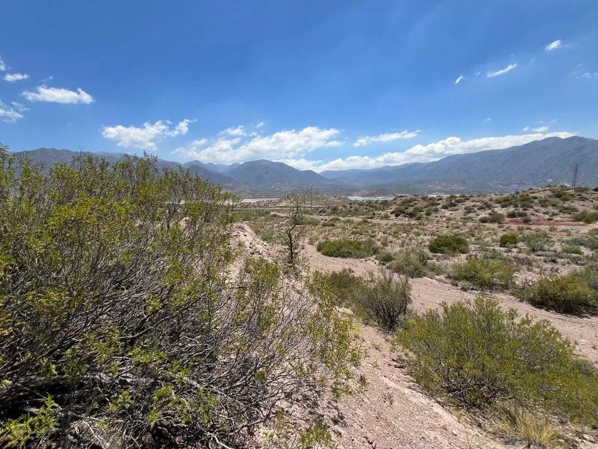 Venta Lote Potrerillos Frente al Lago R7 Km 1094 4